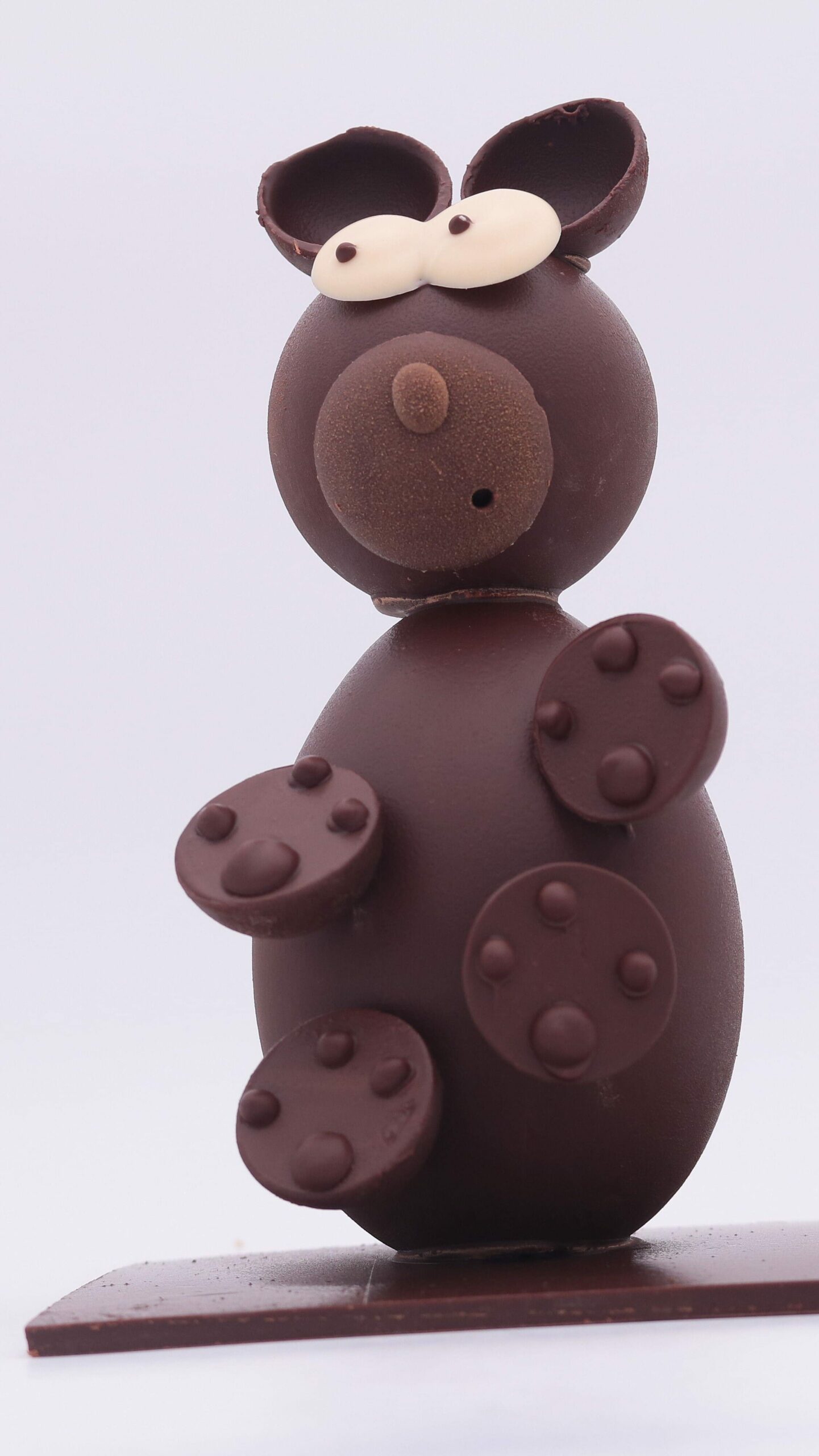 Montage de noel ourson en chocolat